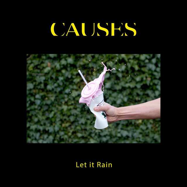 Let it Rain by Causes