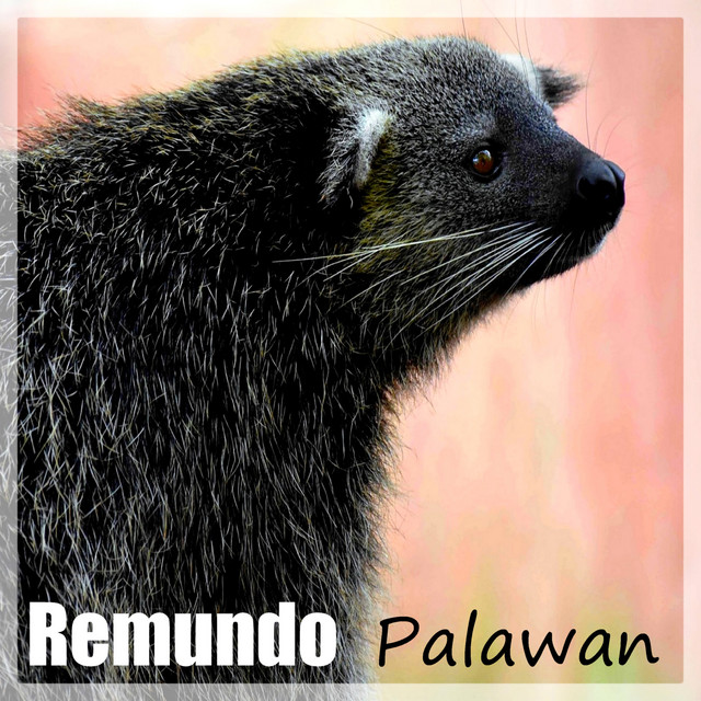 Palawan cover art