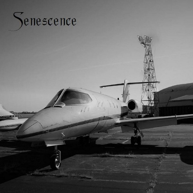 Senescence Photo