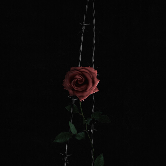 Be Your Love