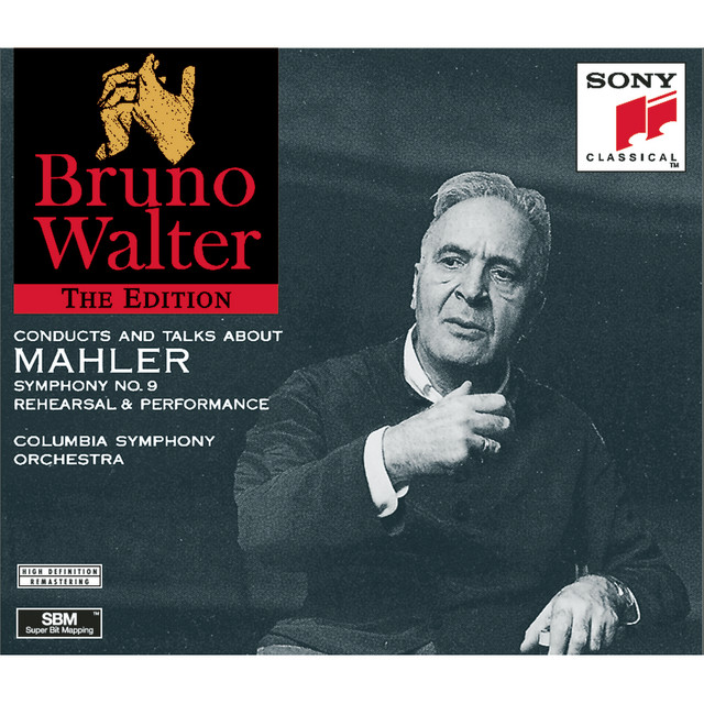 A Working Portrait: Recording the Mahler Ninth Symphony cover art