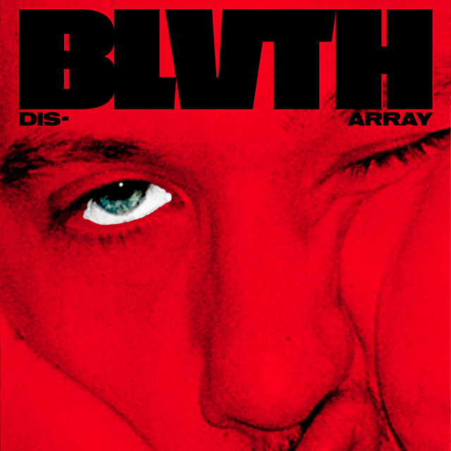Disarray cover art