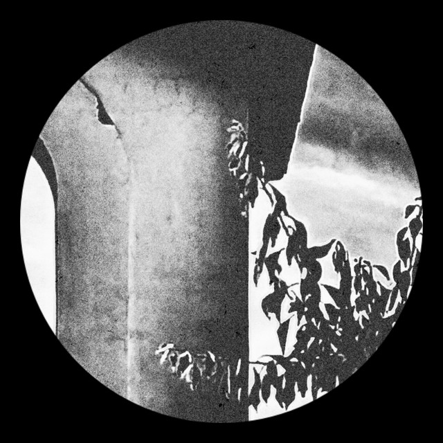 Обкладинка Vladyslav Romanchenko — METABOLISM