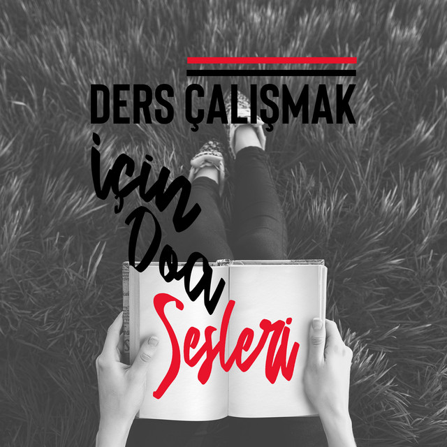 Ders Çalışmak için Doğa Sesleri cover art