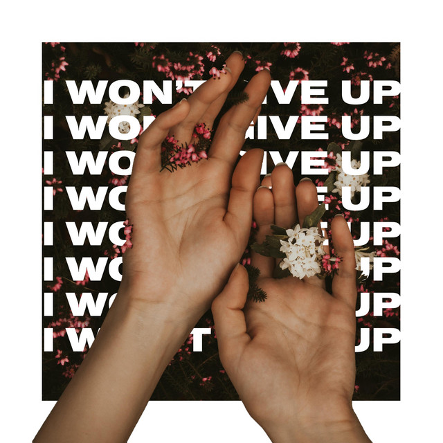 I won't give up