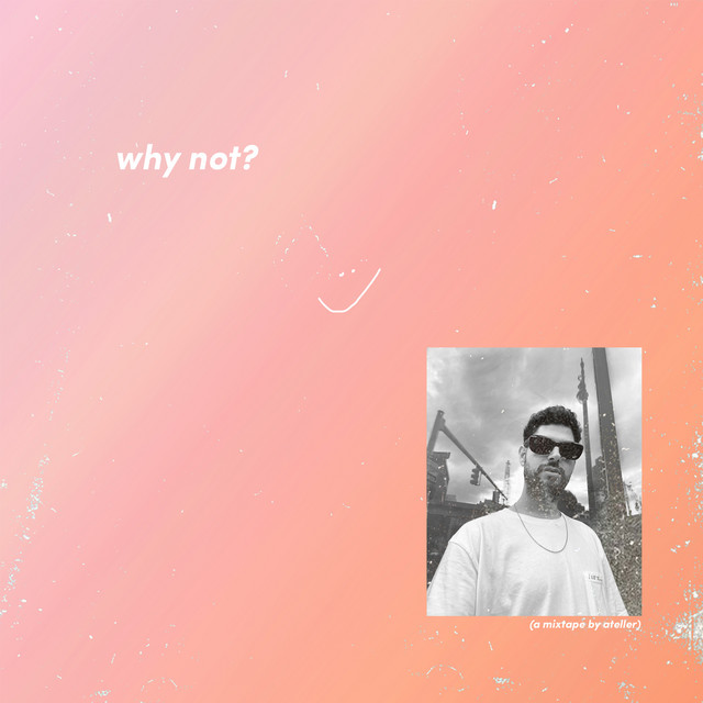Why Not? cover art