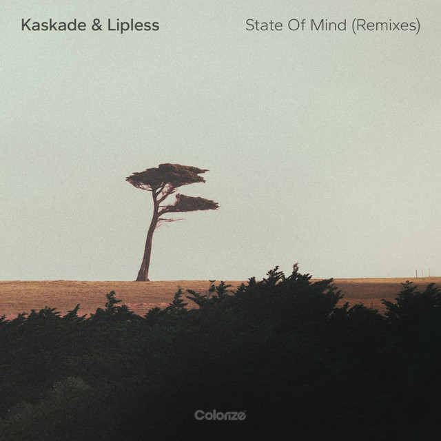 State Of Mind - Faodail Remix