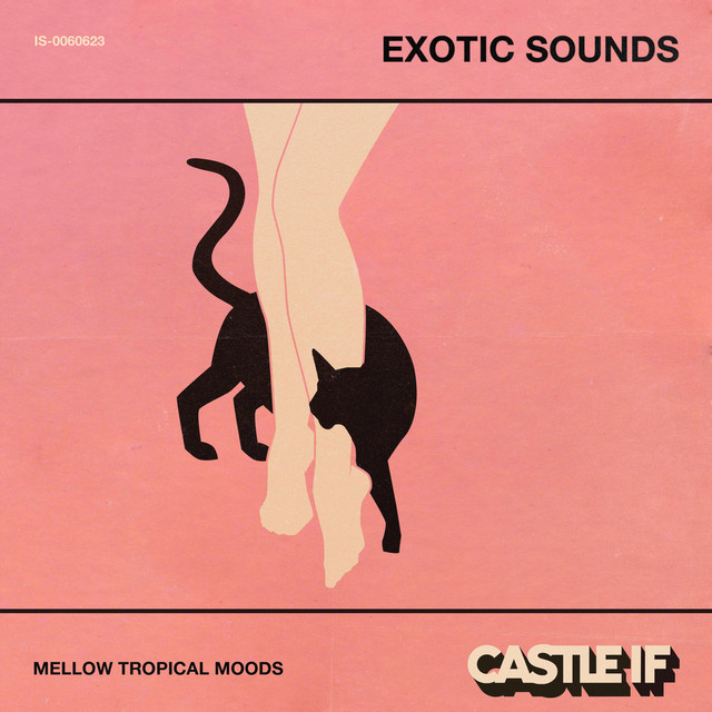 Exotic Sounds (Imaginary Soundtrack) cover