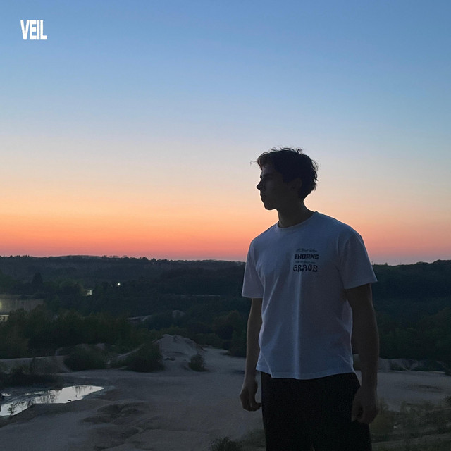 VEIL cover