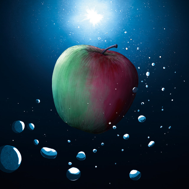 melon cover art