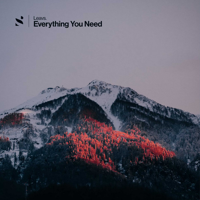 Everything You Need – Leavs.