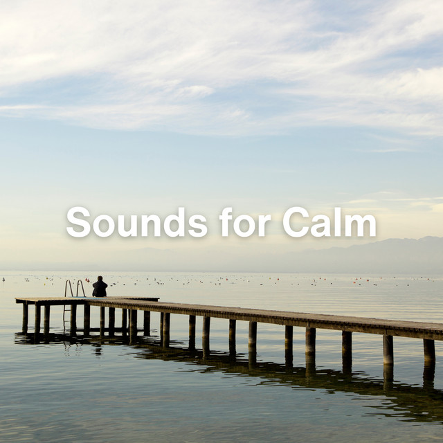 Sounds for Calm cover