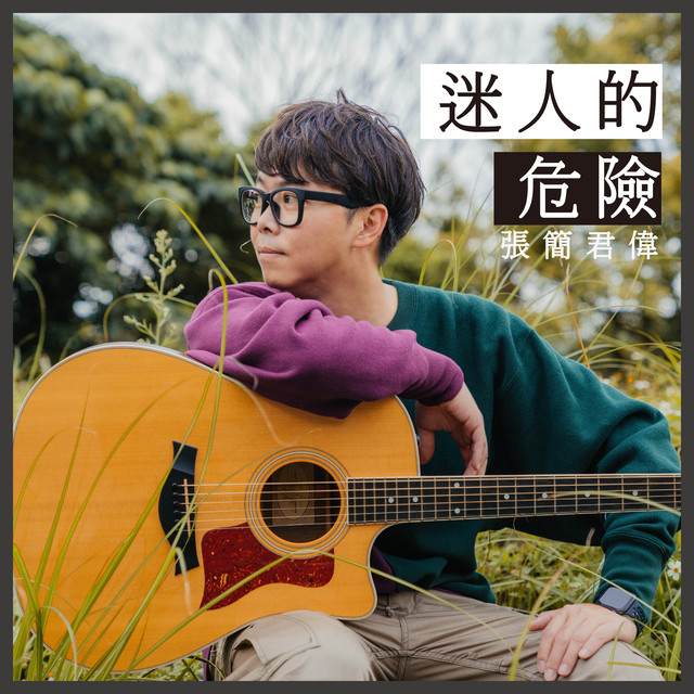 迷人的危險 cover