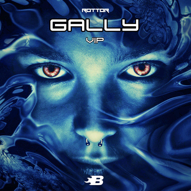 Gally (VIP Edit) cover art