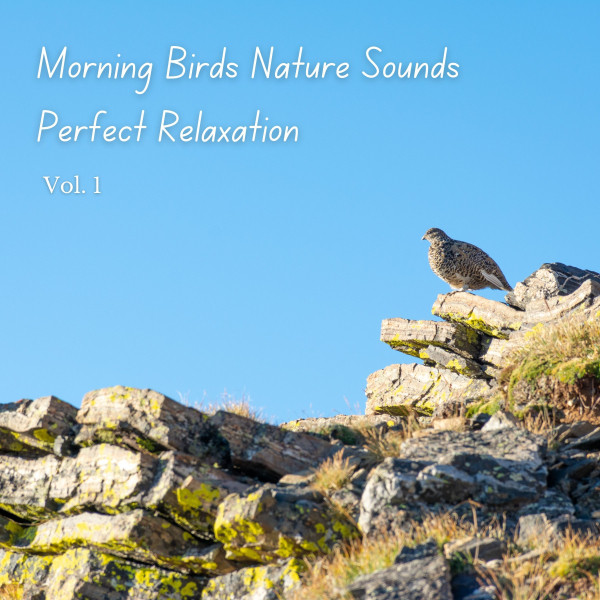 Morning Birds Nature Sounds Perfect Relaxation Vol. 1 - Album by Deep ...