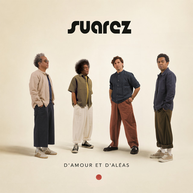 Pochette de Dingue