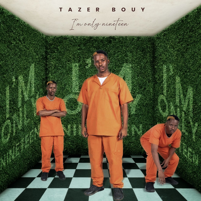 I'm Only Nineteen cover art
