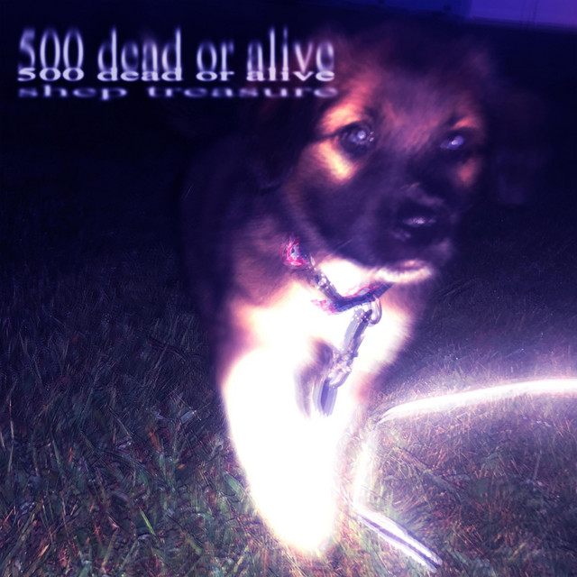 500 dead or alive cover art