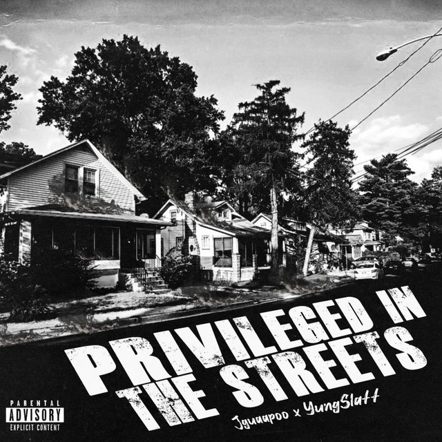 Privileged in the Streets cover art
