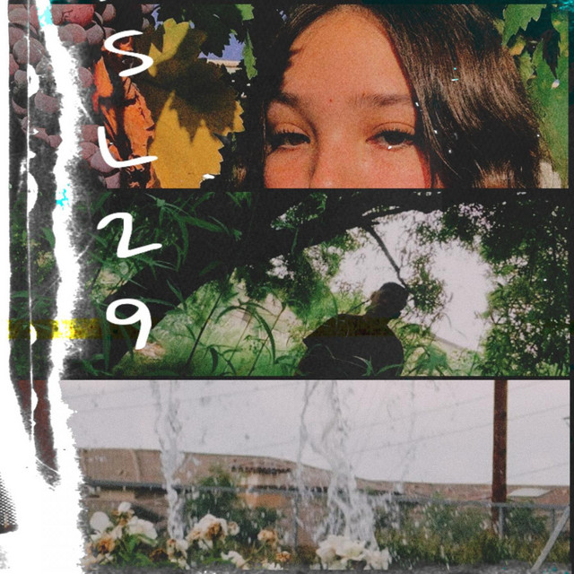 SL29 cover art
