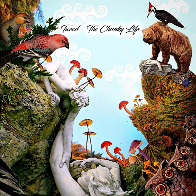 undefined album image