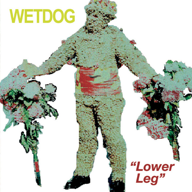 Lower Leg cover art