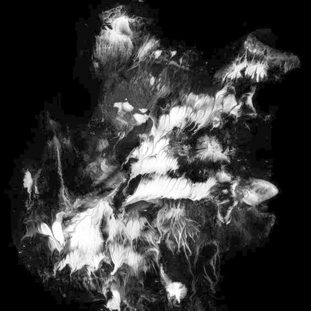 chaos & confusion cover art