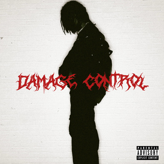 DAMAGE CONTROL cover art