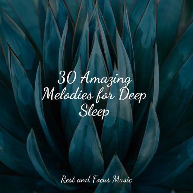 Relax Meditations