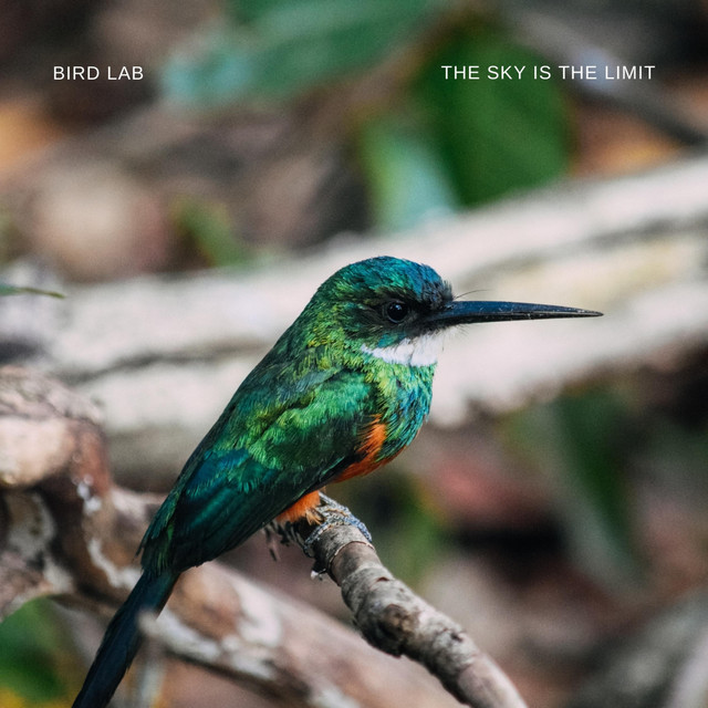 The Sky Is The Limit - Single by Bird Lab | Spotify