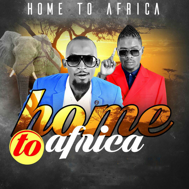 Home To Africa cover art