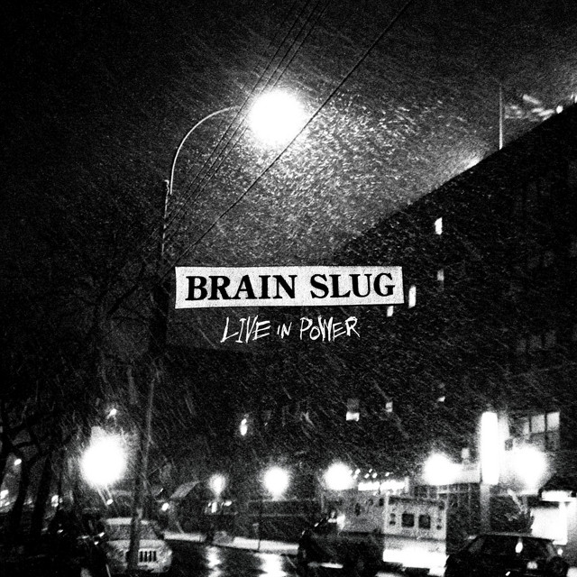 Brain Slug Photo