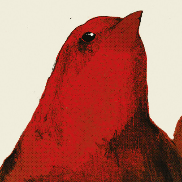 Meant cover art
