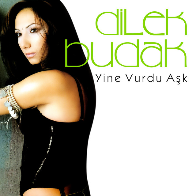 Yine Vurdu Aşk cover art