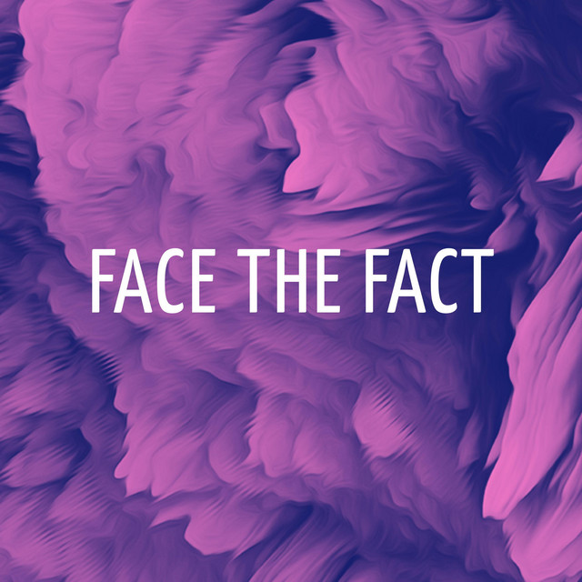 Face The Fact cover art