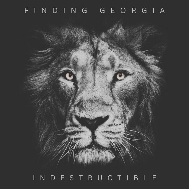 Indestructible cover