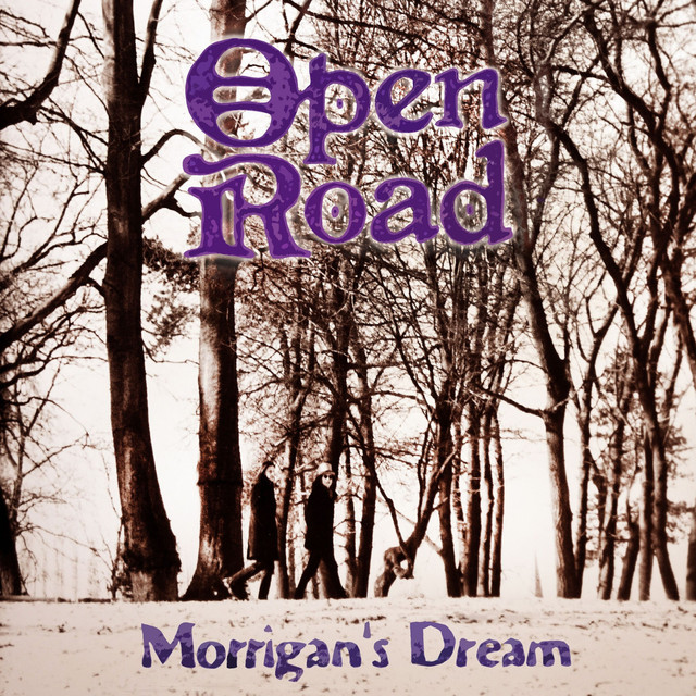 Morrigan's Dream cover