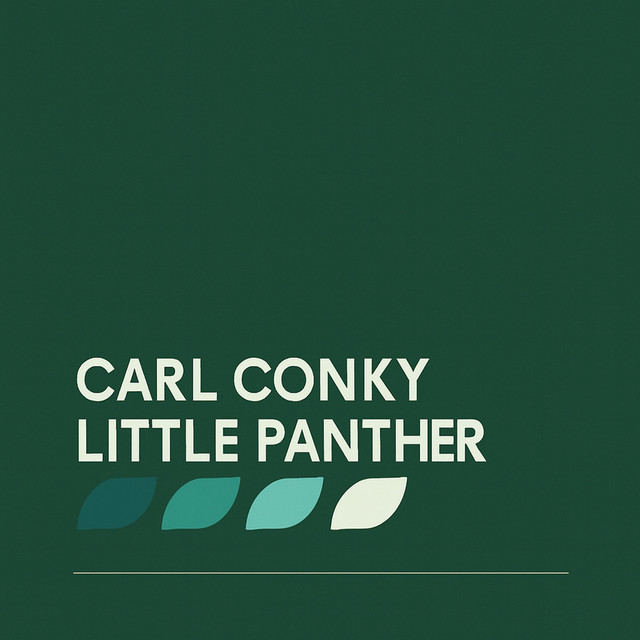 Little Panther album art