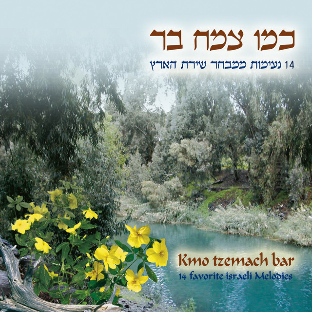 כמו צמח בר cover