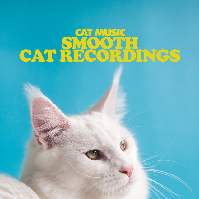 Smooth Cat Recordings - Album by Cat Music | Spotify