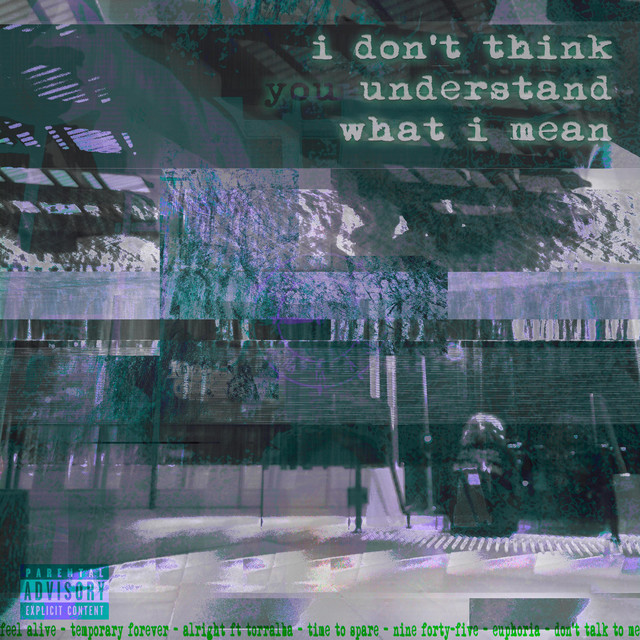 i don't think you understand what i mean cover art