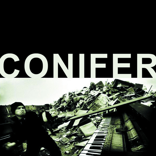 Conifer cover