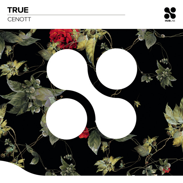 True cover art