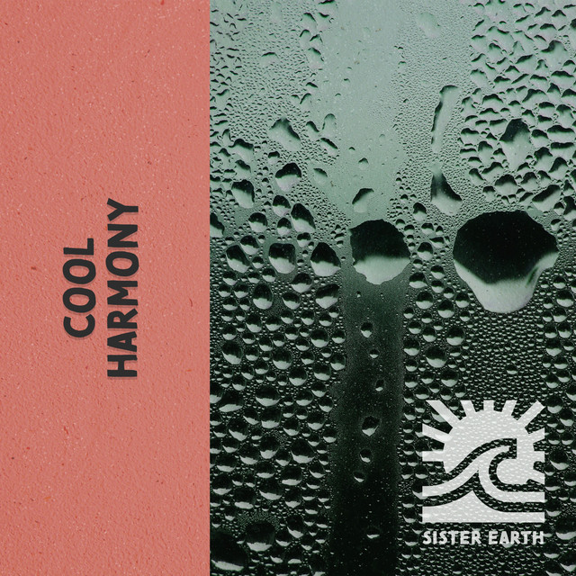 Cool Harmony: Rain in the Forest cover art
