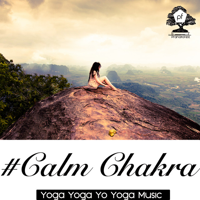 1:1 # Calm Chakra cover art