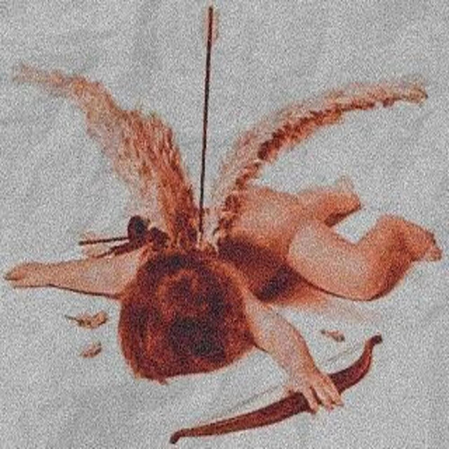 Kasubody Ao Cupido