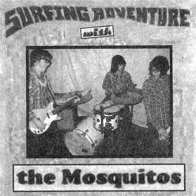 Surfing Adventure cover art