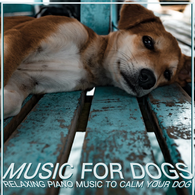 Music for Dogs: Relaxing Piano Music to Calm Your Dog cover art