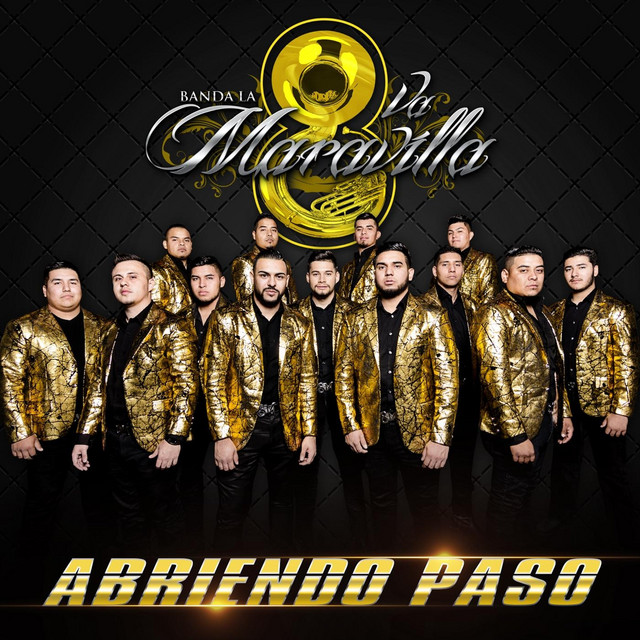La Vida Alegré cover art