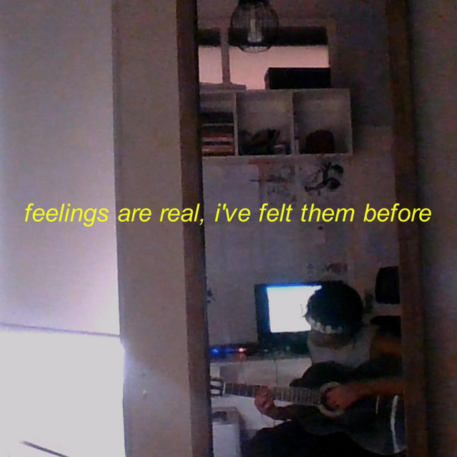 feelings are real, i've felt them before cover art